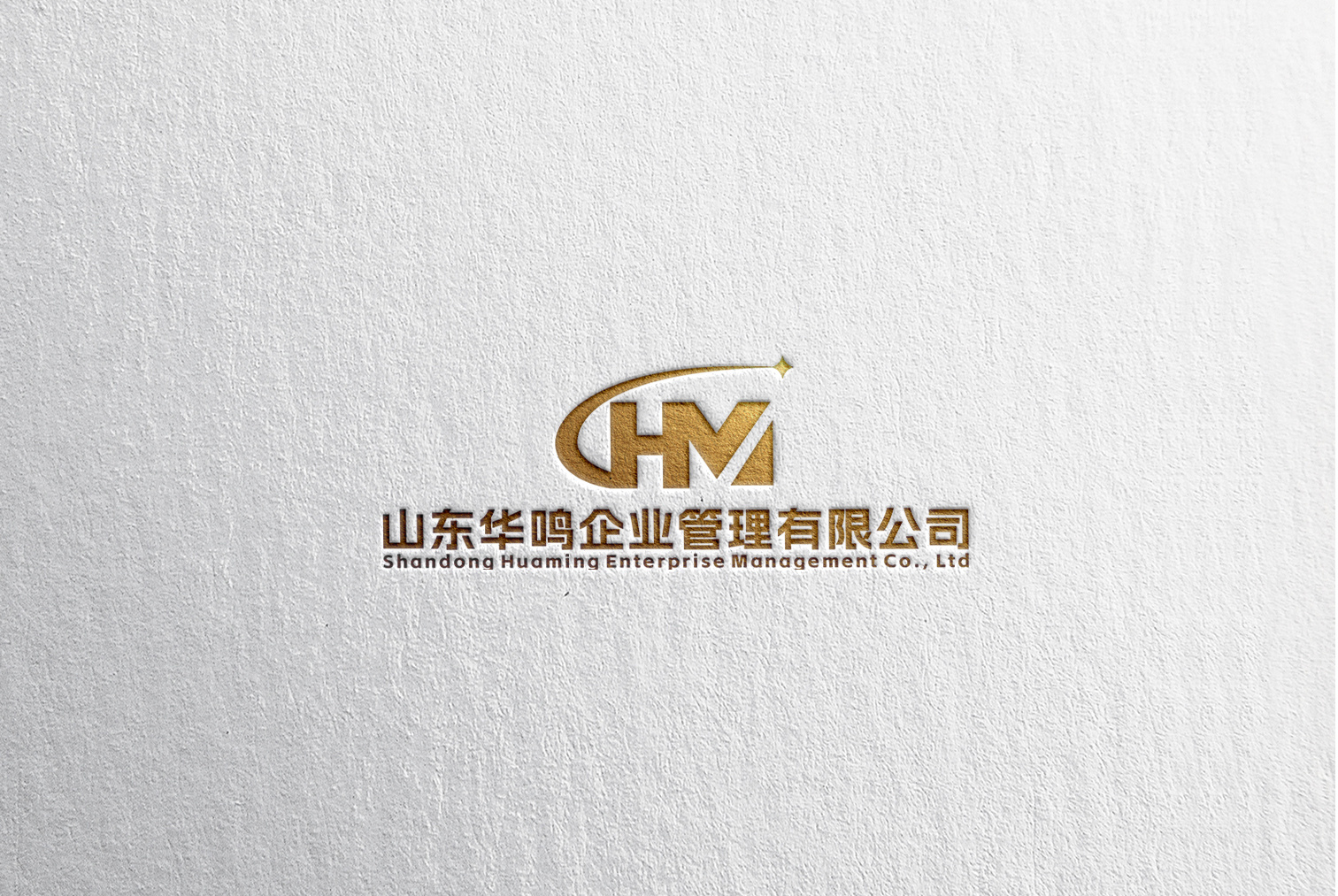 公司介绍